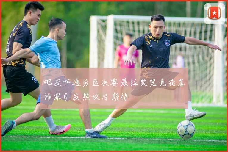 吧友评选分区决赛最拉奖究竟花落谁家引发热议与期待