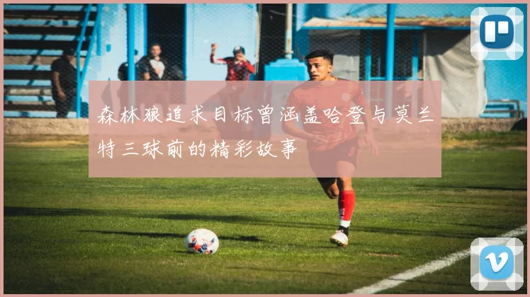 森林狼追求目标曾涵盖哈登与莫兰特三球前的精彩故事
