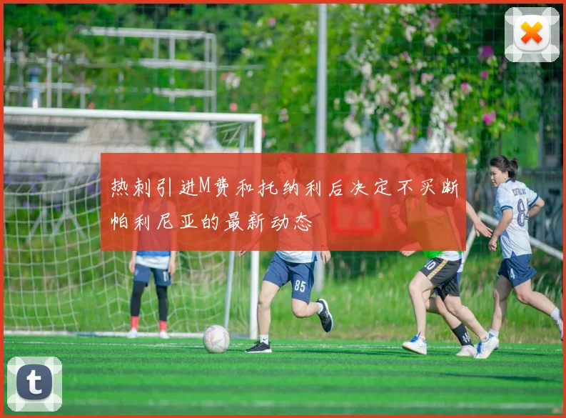 热刺引进M费和托纳利后决定不买断帕利尼亚的最新动态