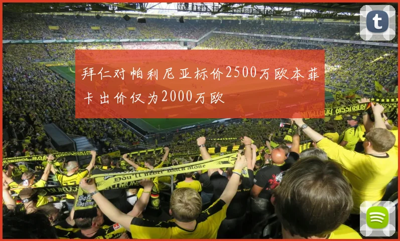 拜仁对帕利尼亚标价2500万欧本菲卡出价仅为2000万欧